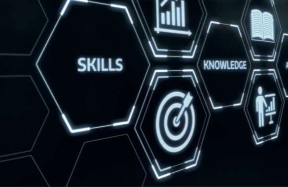 STEM skills gap