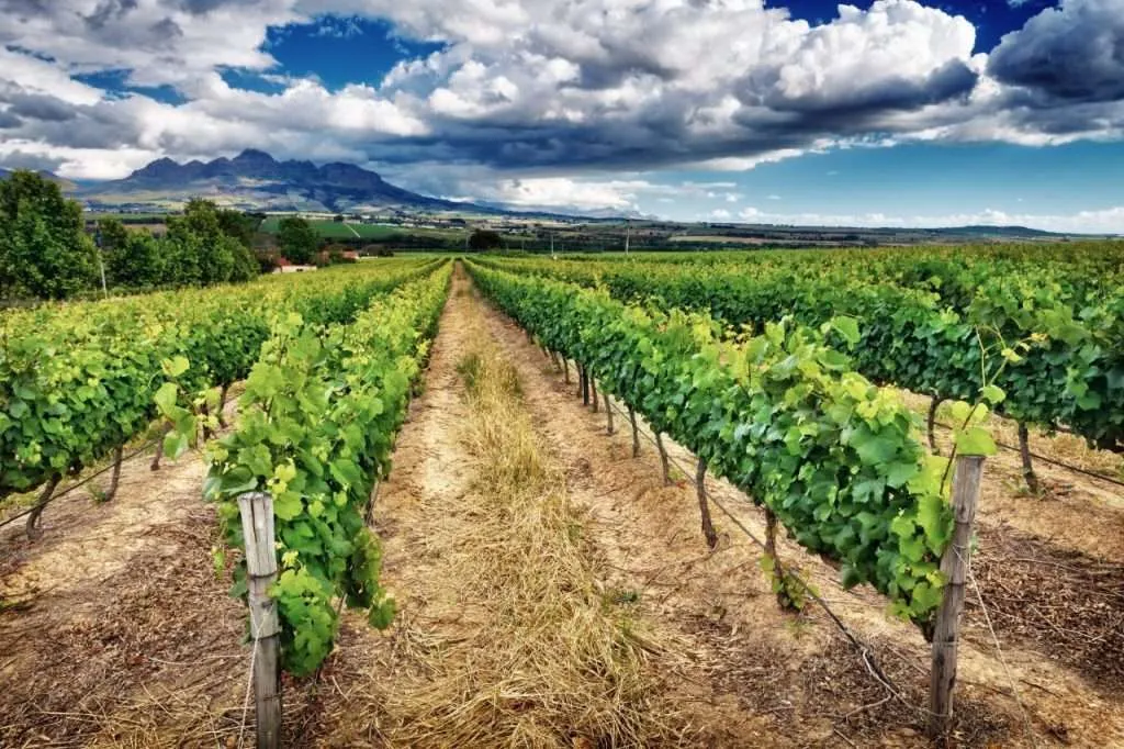 MAJORITY OF TODAY’S AGRICULTURAL BUSINESSES NEED STRONGER CYBER-SECURITY DEFENCES FOR THEIR IOT SOLUTIONS