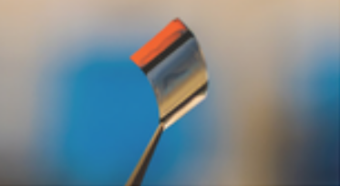 curved NP-BHJ X-ray detector held with a tweezer