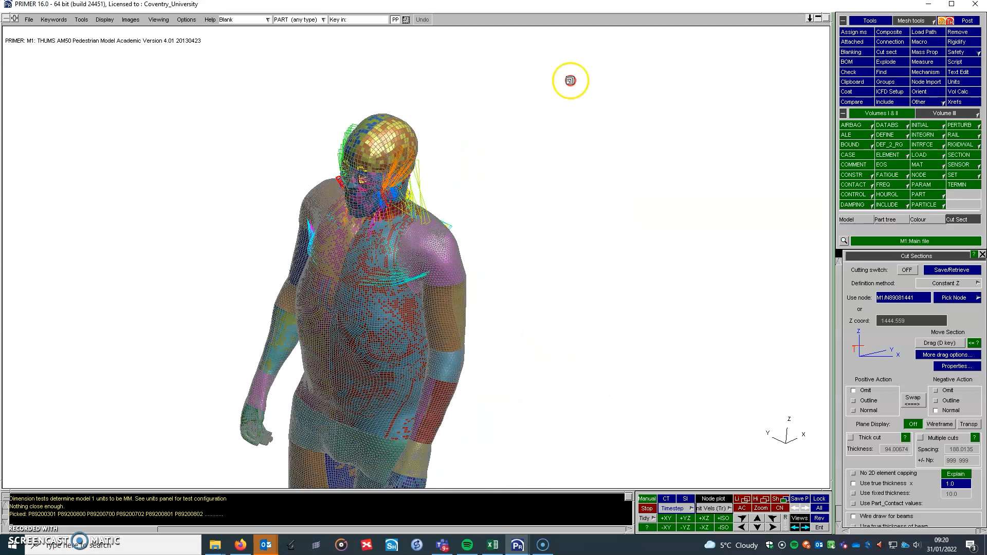 Pedestrian trauma research image