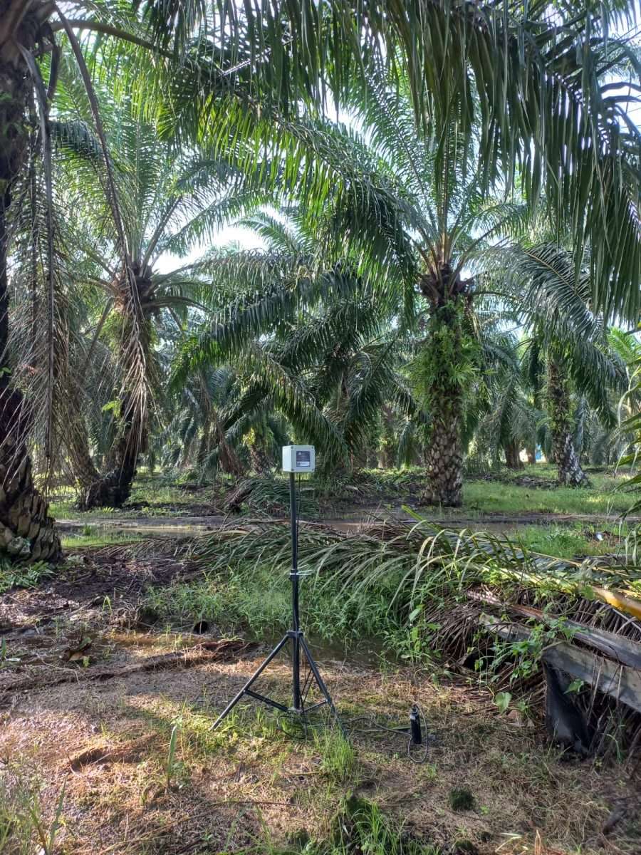 Avirlink in field in a palm oil plantation;