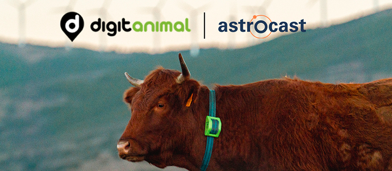 Astrocast and Digitanimal enhance livestock management through global partnership
